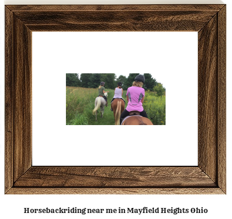 horseback riding near me in Mayfield Heights, Ohio